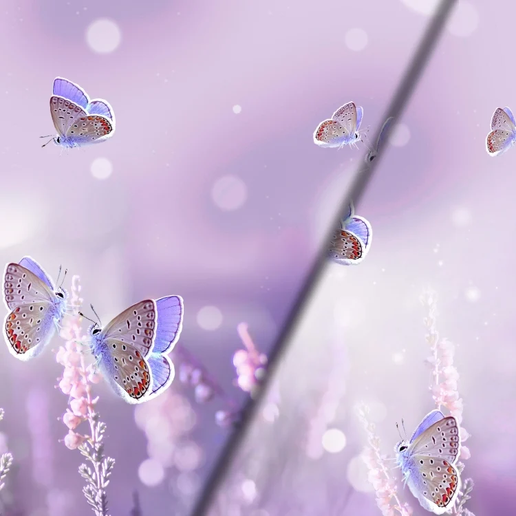 Baumwolljersey Malomi Panel Purple Butterfly, flieder 150 x 65 cm