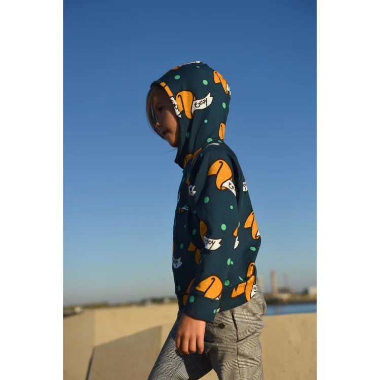 E-Book Fibre Mood Hoodie Ricco