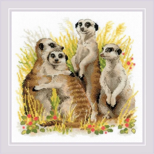 Riolis - Meerkats