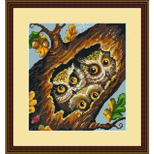Merejka - Owls