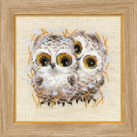 Riolis - Little Owls