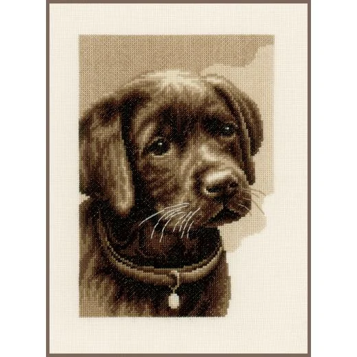 Vervaco - Labradorwelpe