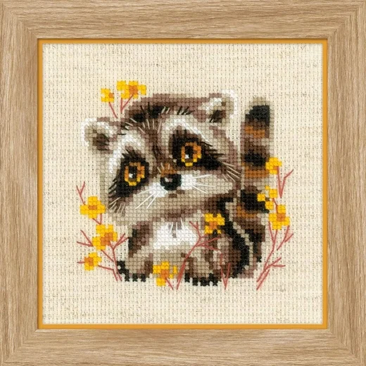 Riolis - Little Raccoon