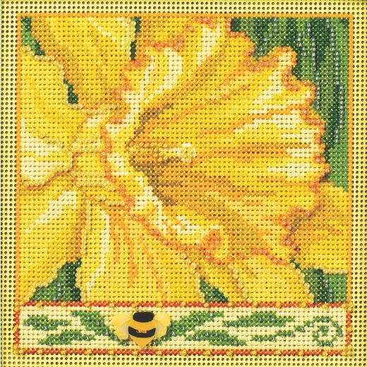 Mill Hill - Daffodil (2024)