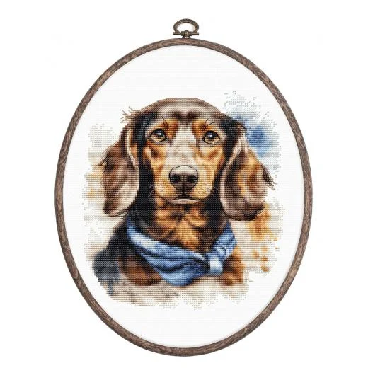 Luca-S - The Dachshund mit Stickring