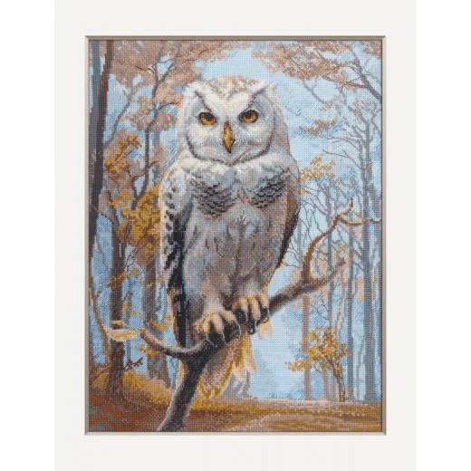 Aine - Wildwood Owl