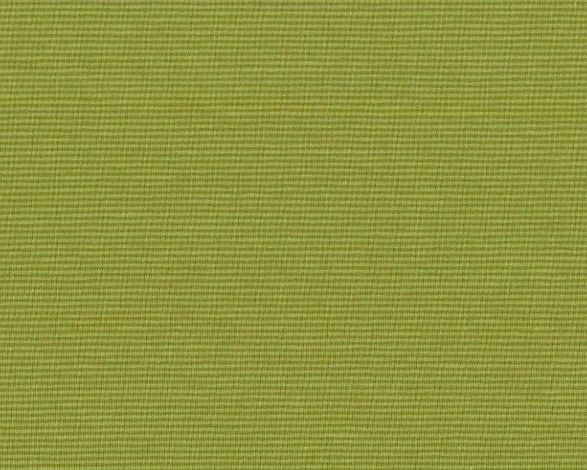 Baumwolljersey BELLA, feine Streifen, limette-olive