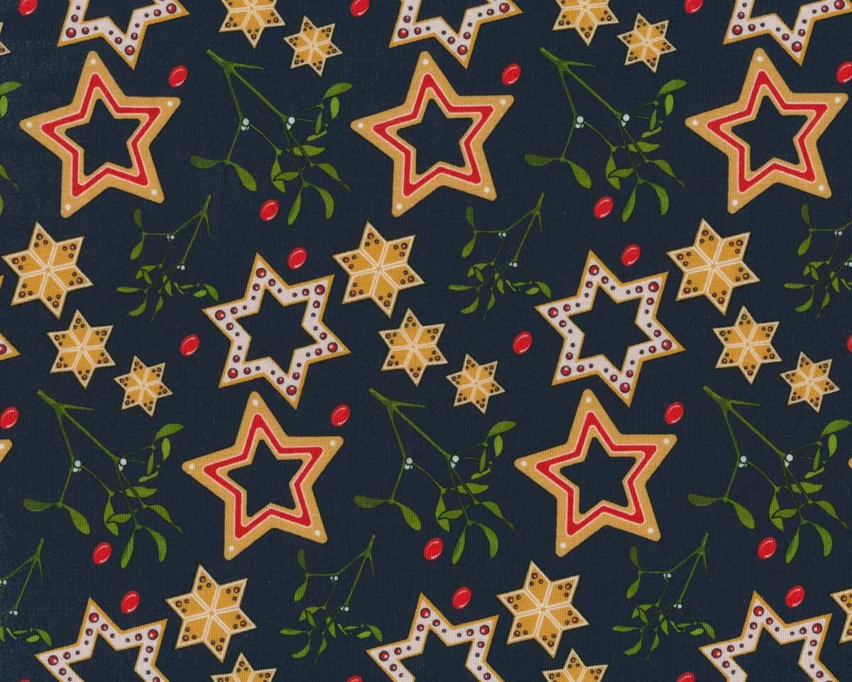 Baumwolljersey FELIZ NAVIDAD, Lebkuchensterne, marineblau