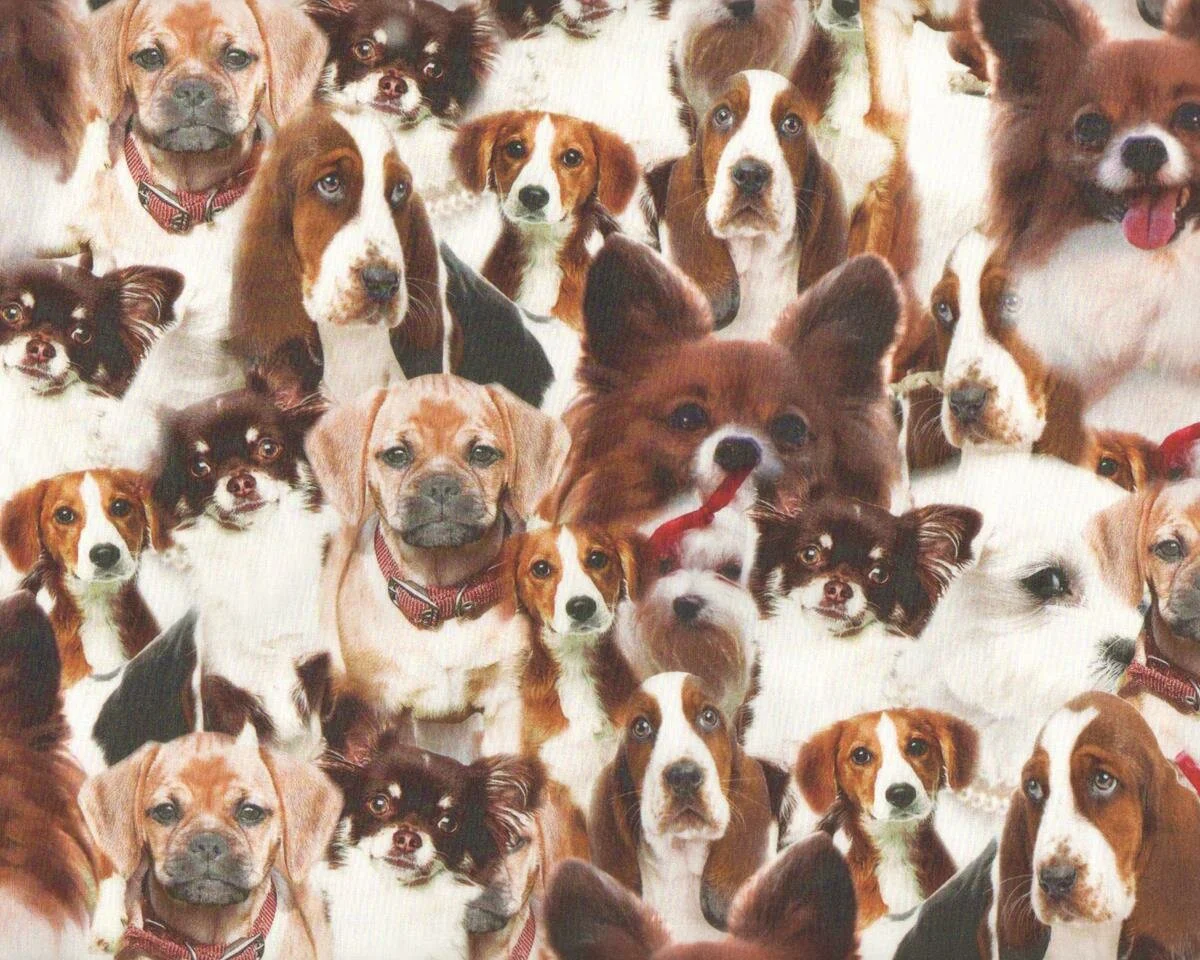 Baumwollstoff, Digitaldruck DROOPY DOGS, Hunde, braun-wollweiß