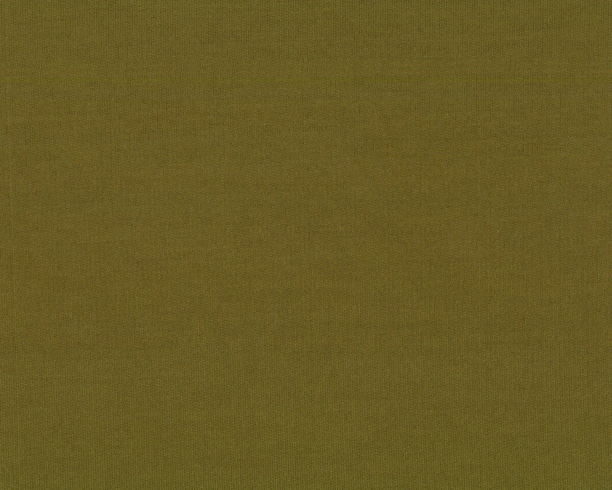 Bio-Bambusjersey FRENCH TERRY, einfarbig, olive