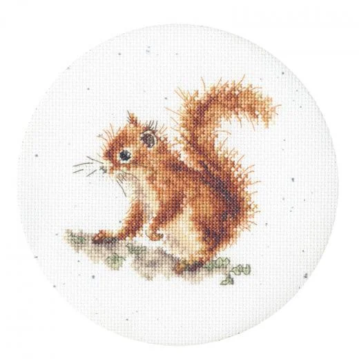 Bothy Threads - Acorns