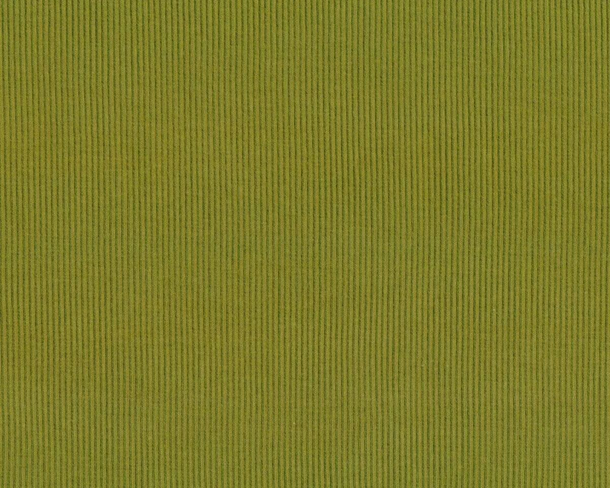 Bündchen-Stoff DOPPELRIPP, gedecktes limette, Hilco