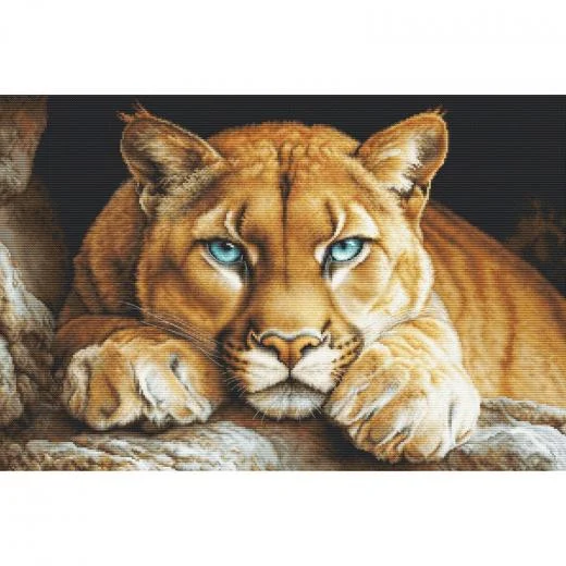 Luca-S - The Wild Spirit