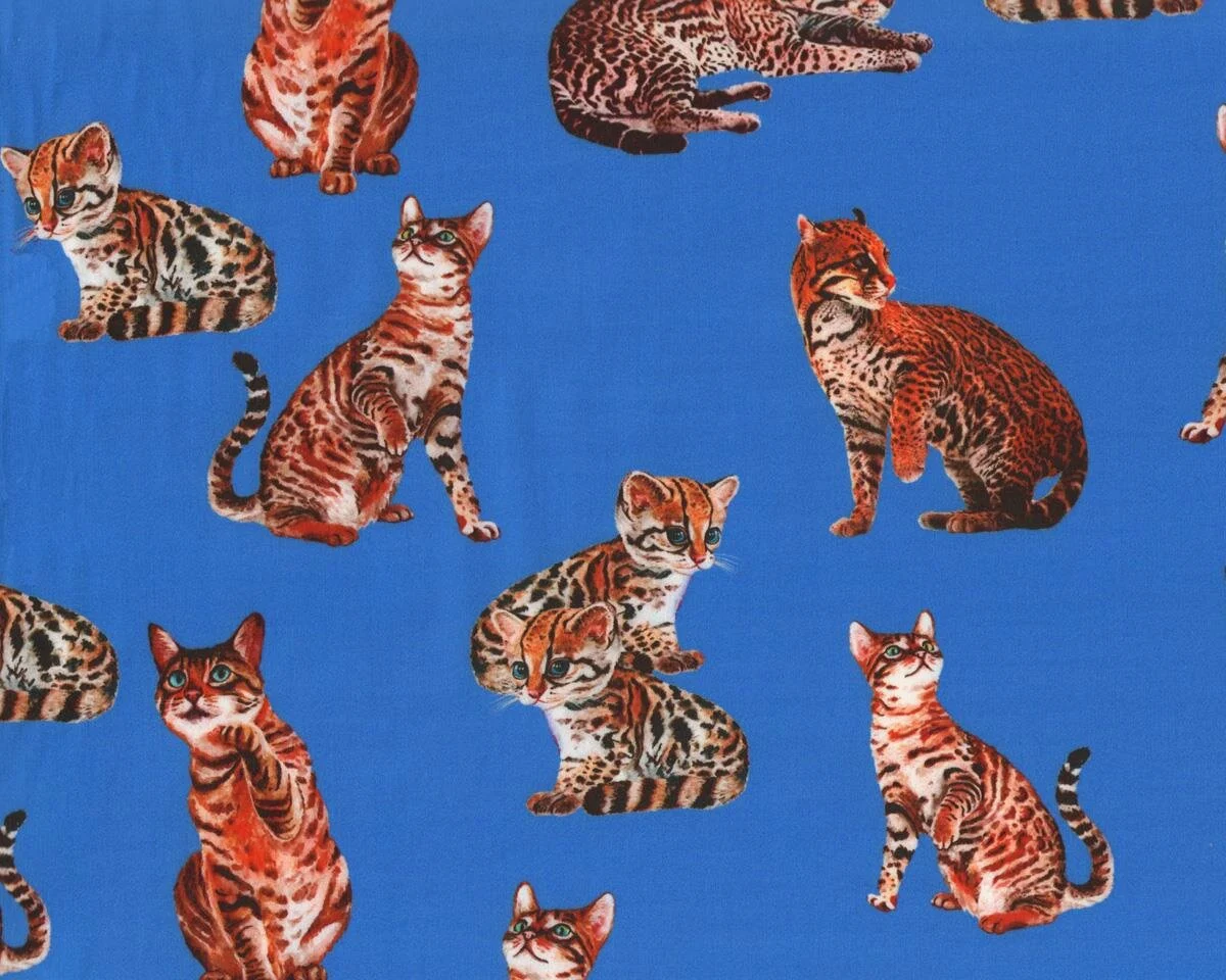 Exklusiver Baumwoll-Stretch-Satin aus Italien MIAGOLARE, Katzen, ultramarinblau