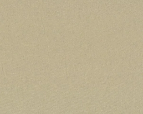 Feiner italienischer Baumwolljersey BRUGNOLI SASSETTA, helles schilfgrün
