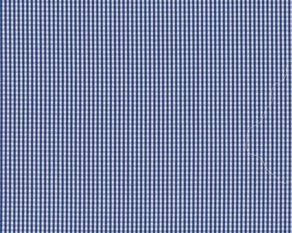 Feiner italienischer Baumwollstoff für Hemden und Blusen "Silvano", feines Vichykaro, blau