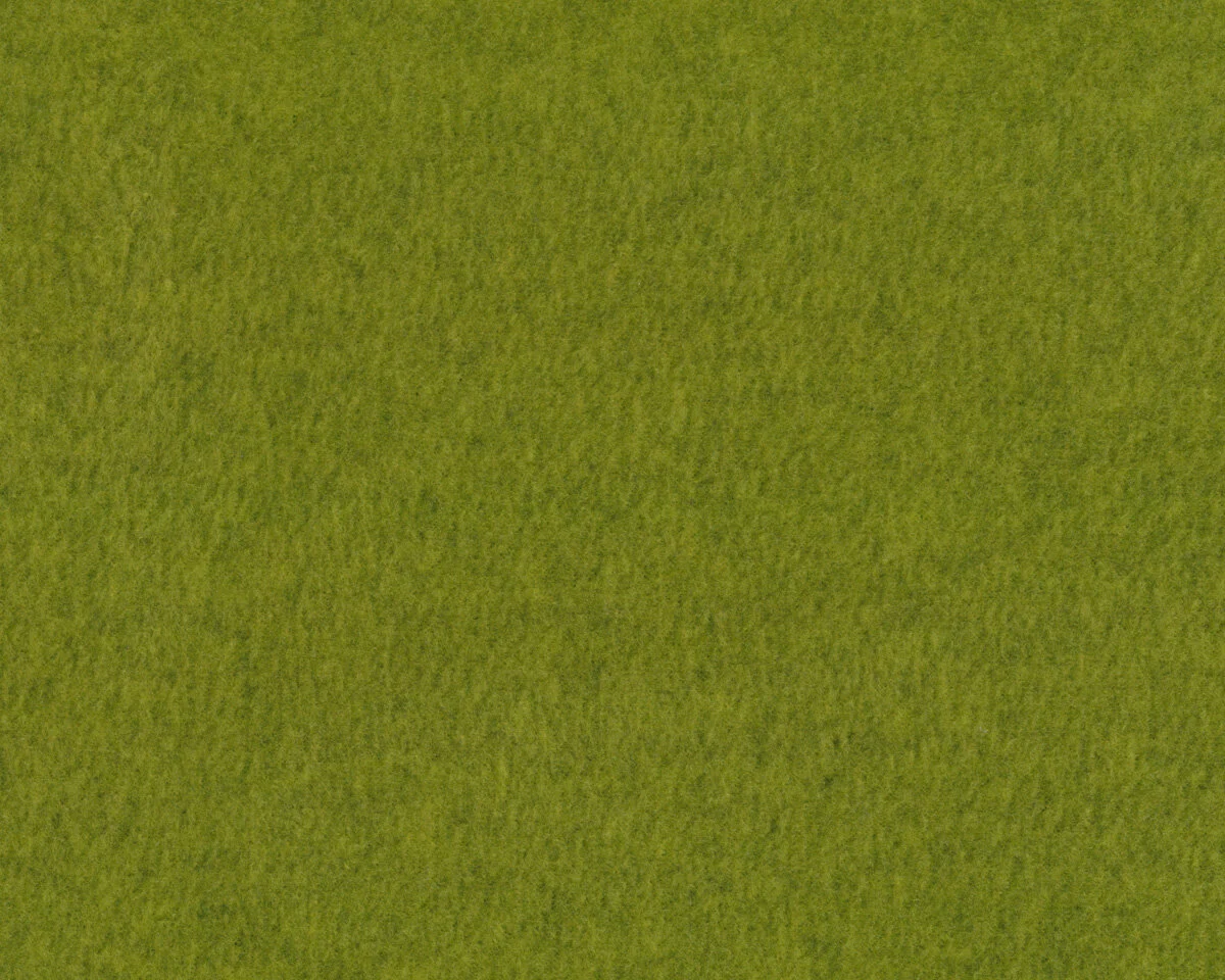 Kuschel-Fleece THIES, grasgrün, Hilco
