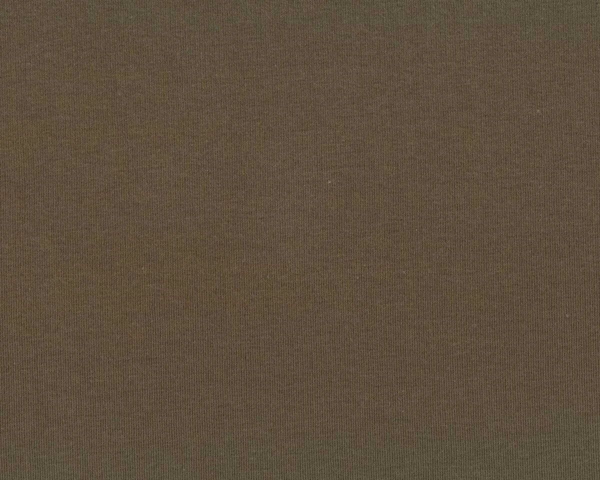 Kuschel-Sweatstoff EICHHORN, olive, Swafing