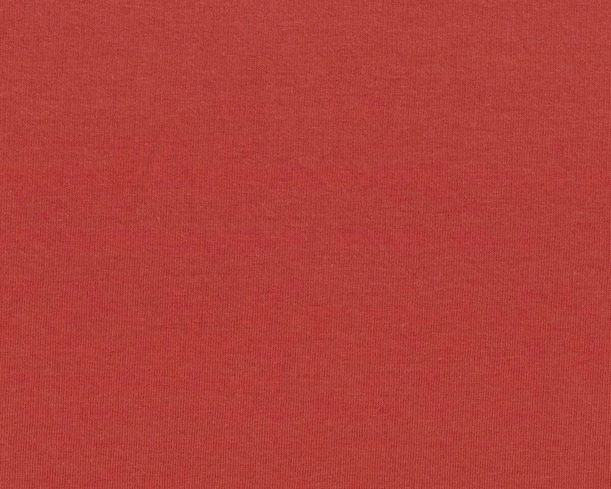 Kuschel-Sweatstoff EICHHORN, terracotta, Swafing