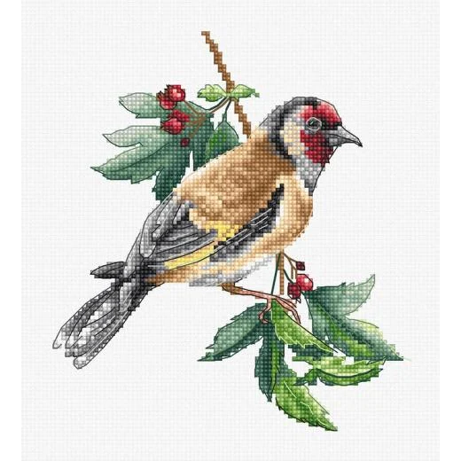 Luca-S - Goldfinch Bird