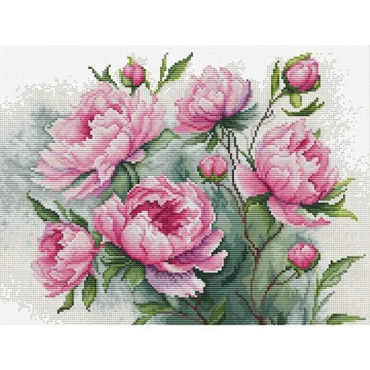 Luca-S - The Charm of Peonies