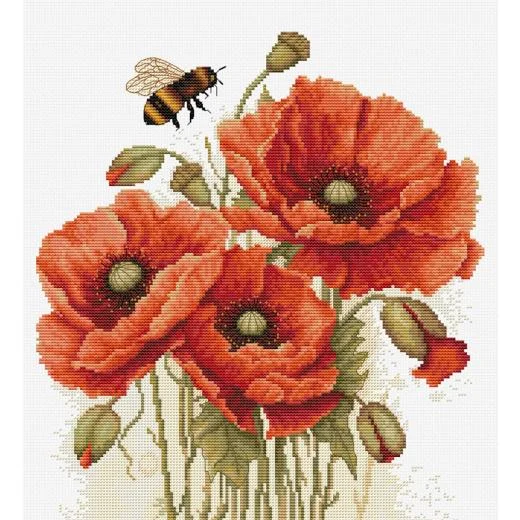 Luca-S - The Splendor of Summer Poppies