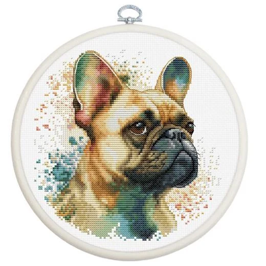 Luca-S - The French Bulldog mit Stickring
