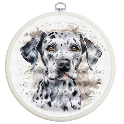 Luca-S - The Dalmatian mit Stickring