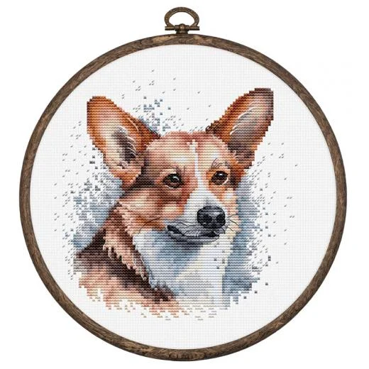 Luca-S - Welsh Corgi mit Stickring