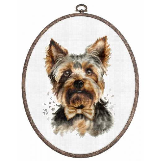 Luca-S - The Yorkshire Terrier mit Stickring