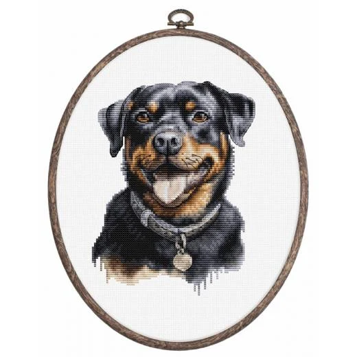 Luca-S - Rottweiler mit Stickring