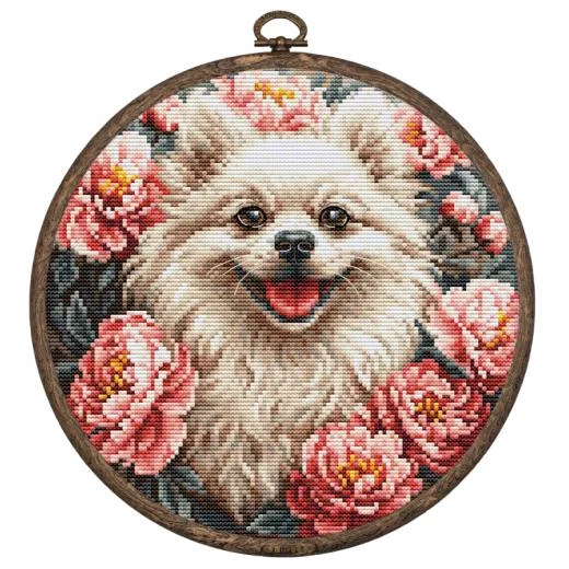 Luca-S - Spitz mit Stickring