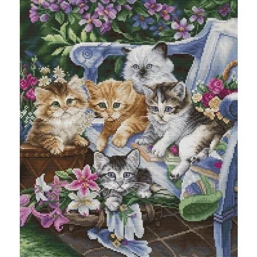 Luca-S - Purfect Gardening Buddies
