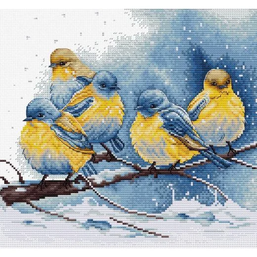 Luca-S - Eastern Bluebirds