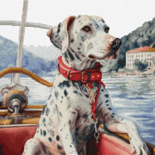 Luca-S - The Dalmatian on Lake Como