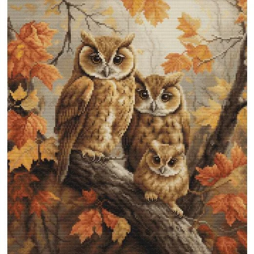 Luca-S - The Owls Family