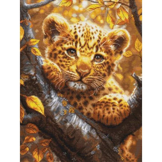 Luca-S - Leopard Cub at Sunrise