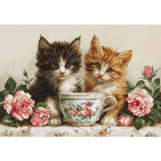 Luca-S - Two Kittens