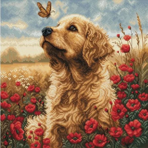 Luca-S - Meeting in the Flowering Field