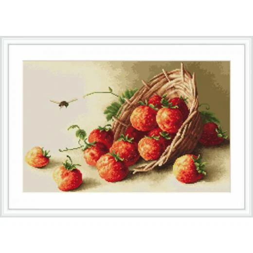 Luca-S - Basket of strawberries