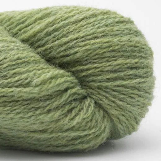 BC Garn Bio Shetland - 11 lindgrün - GOTS