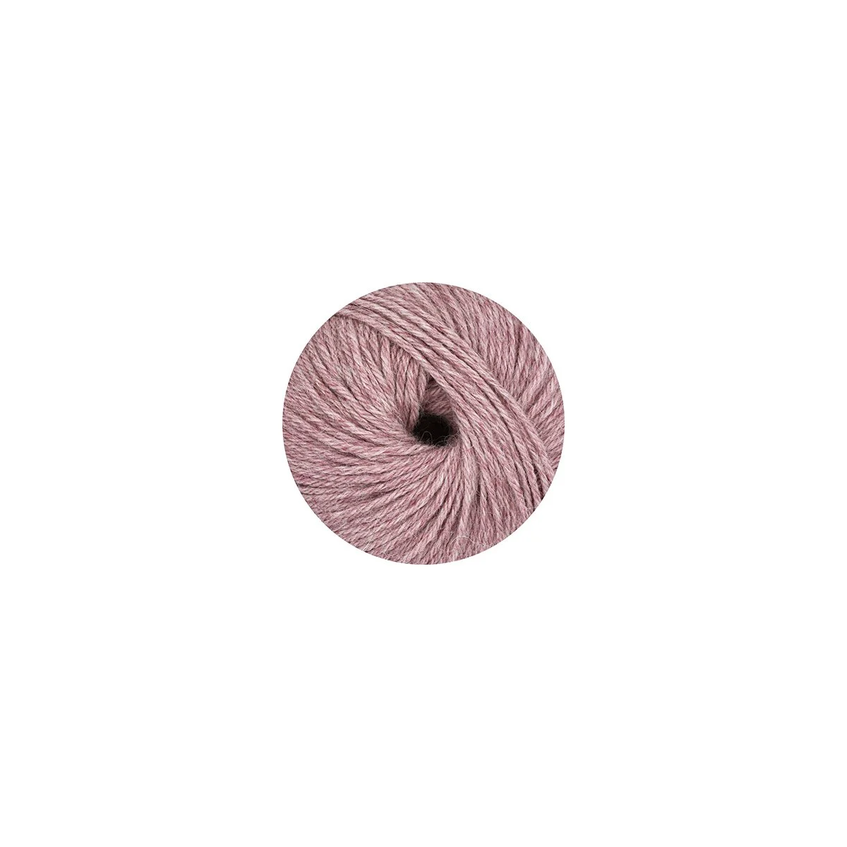 ONline - Linie 310 Alpaca 0035