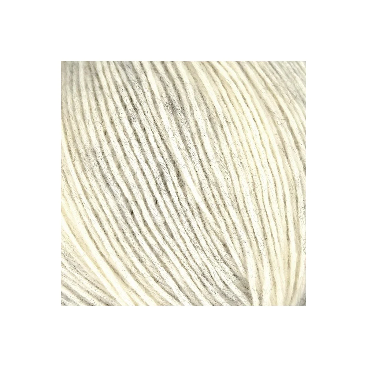 ONline - Linie 547 Sumato 0001