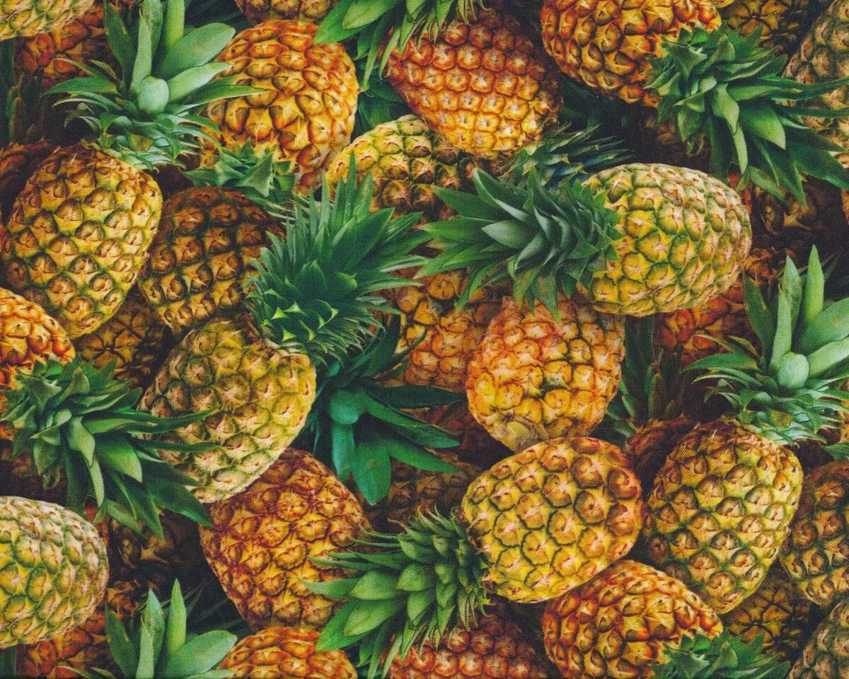 Patchworkstoff FOOD FESTIVAL, Ananas, Elizabeth's Studio