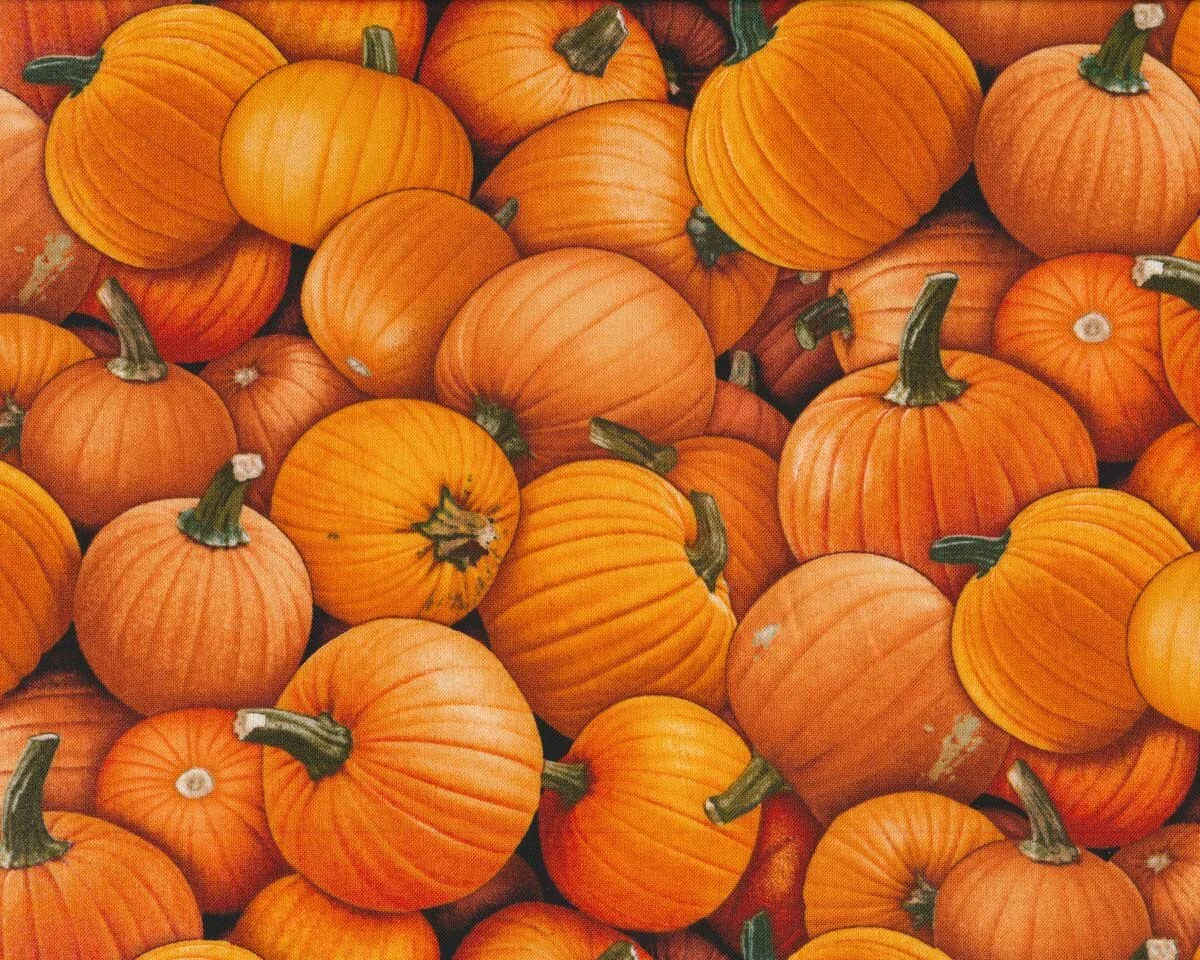 Patchworkstoff HARVEST TIME, Kürbis, Elizabeth's Studio