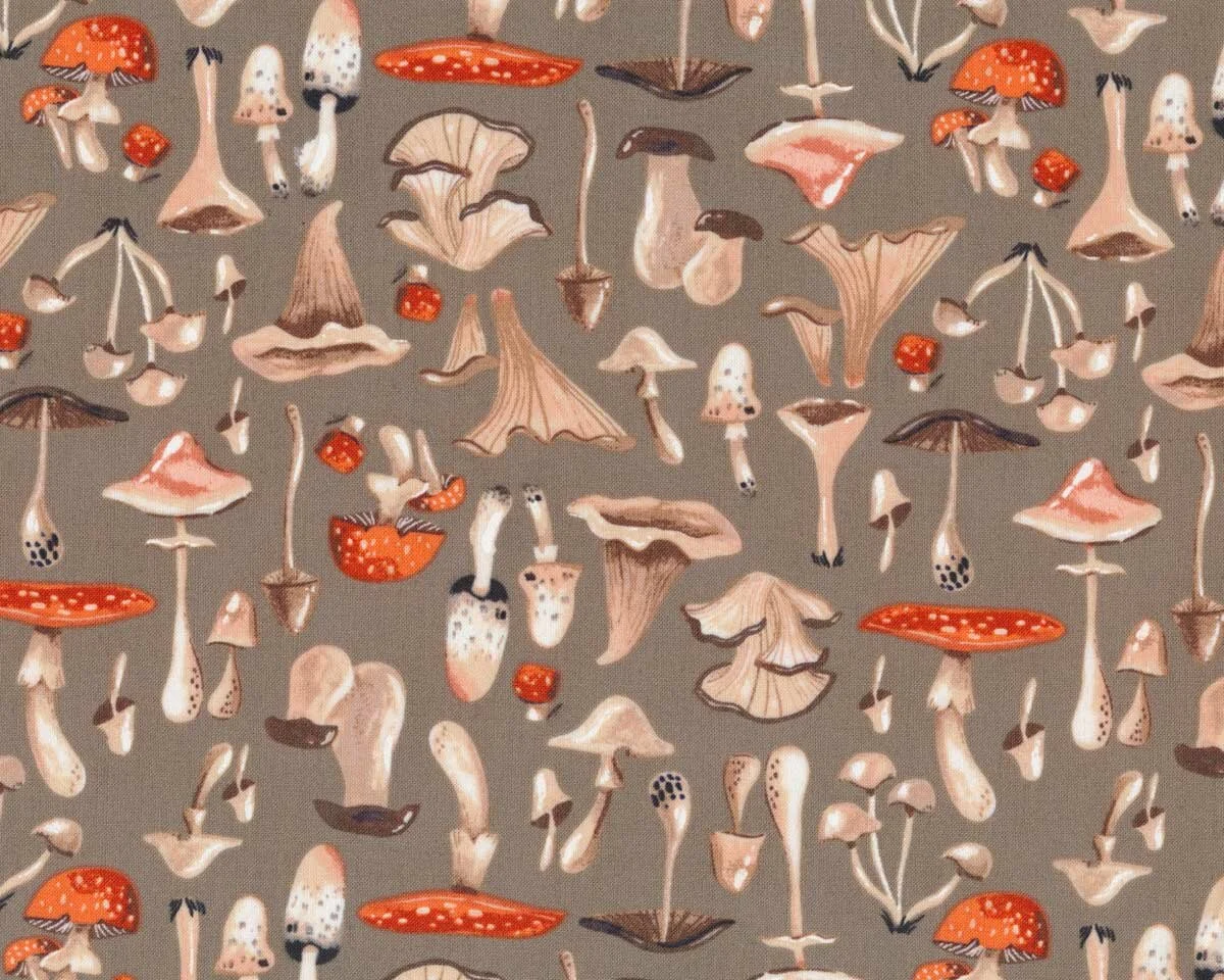 Patchworkstoff NATURAL HISTORY, Pilze, Dear Stella