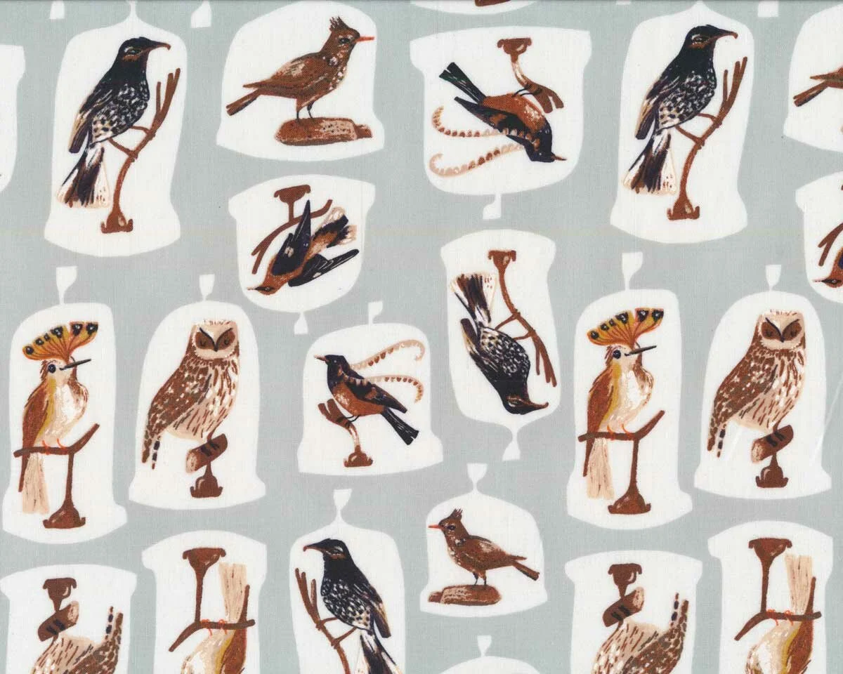 Patchworkstoff NATURAL HISTORY, Vögel, Dear Stella