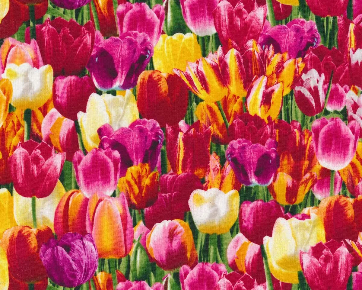 Patchworkstoff TULIP FARM, Tulpen