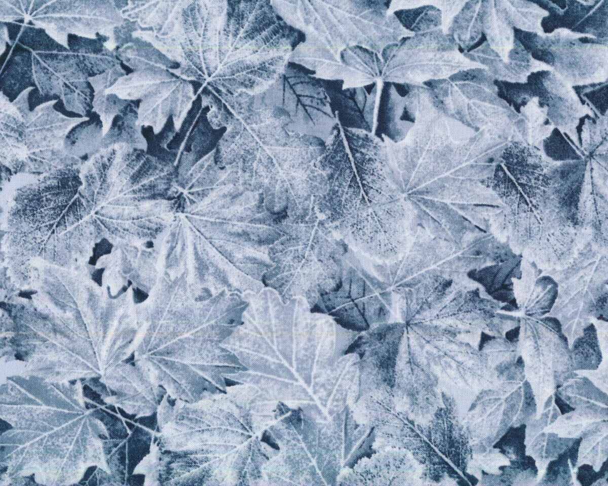 Patchworkstoff WINTER HIKE, Blätter, eisblau, Timeless Treasures
