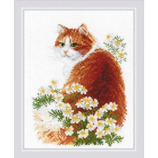 Riolis - Ginger Meow